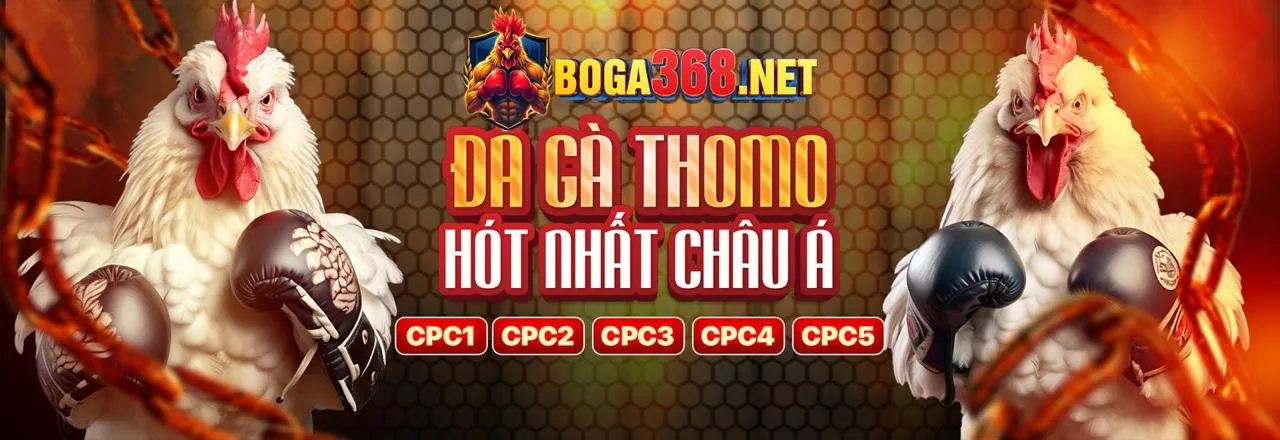 Đá gà trực tuyến kịch tính tại jun888 cổng game